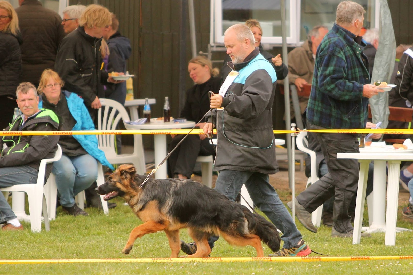 Haus Qira - langhåret schæferhund