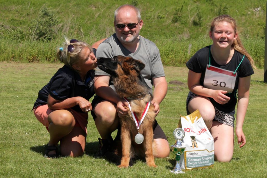 Olexiys Yvie - langhårede schæferhunde