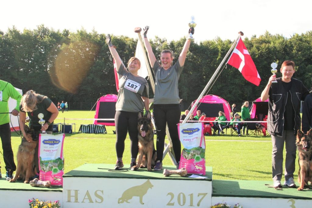 Haus Qira Bania - langhåret schæferhund