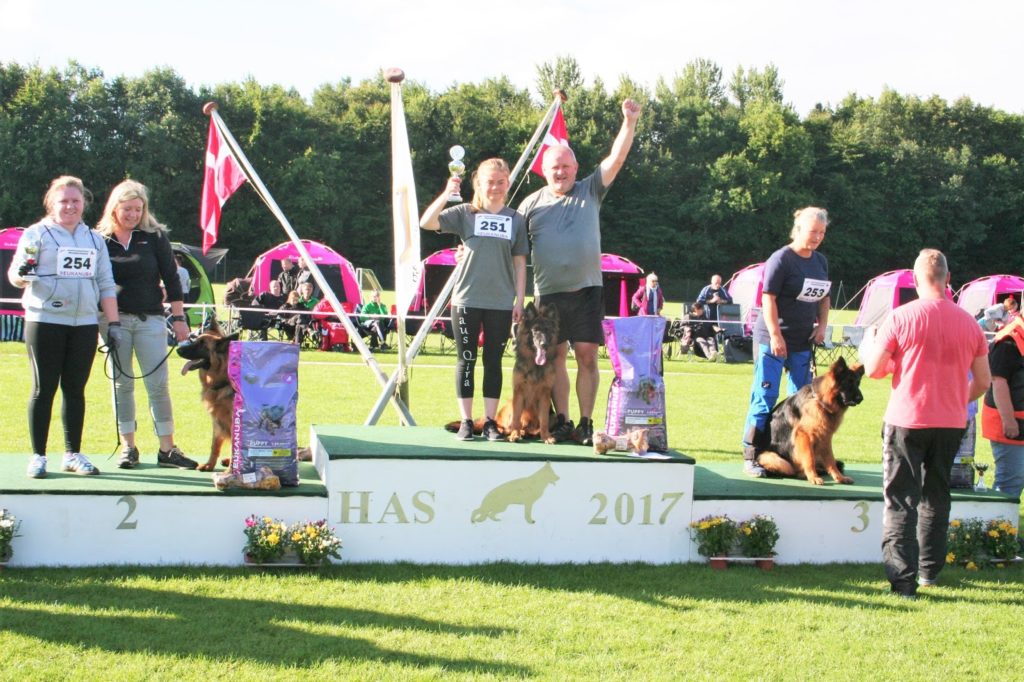Olexius Yvie - langhåret schæferhund