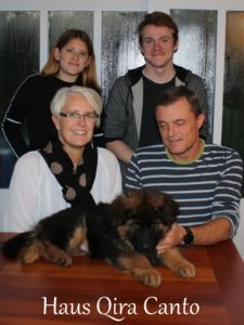 Haus Qira Canto - langhåret schæferhund