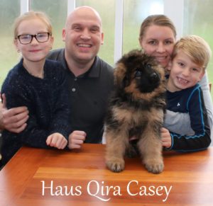 Haus Qira Casey - langhåret schæferhund