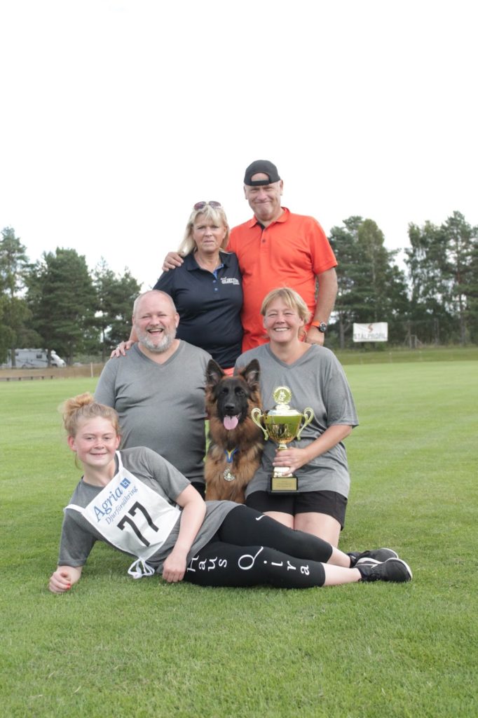 Olexius Yvie - langhåret schæferhund