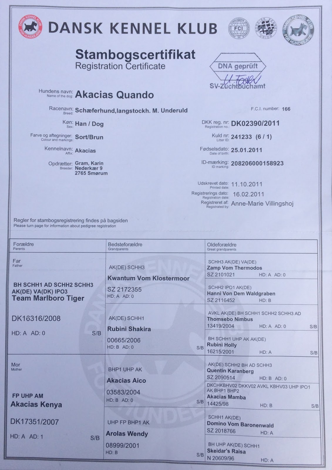 Quando’s stamtavle kom retur i dag, med DNA stempel på!
