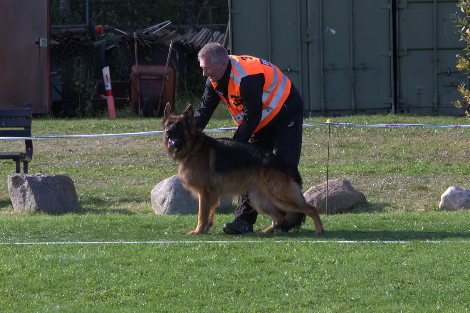 Haus Qira - langhåret schæferhund