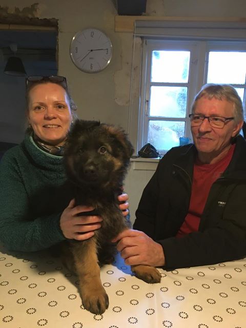 Haus Qira Bessie flytter hjemmefra.