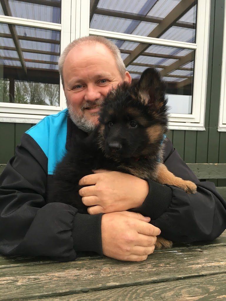 Olexius Zhyla - langhåret schæferhund