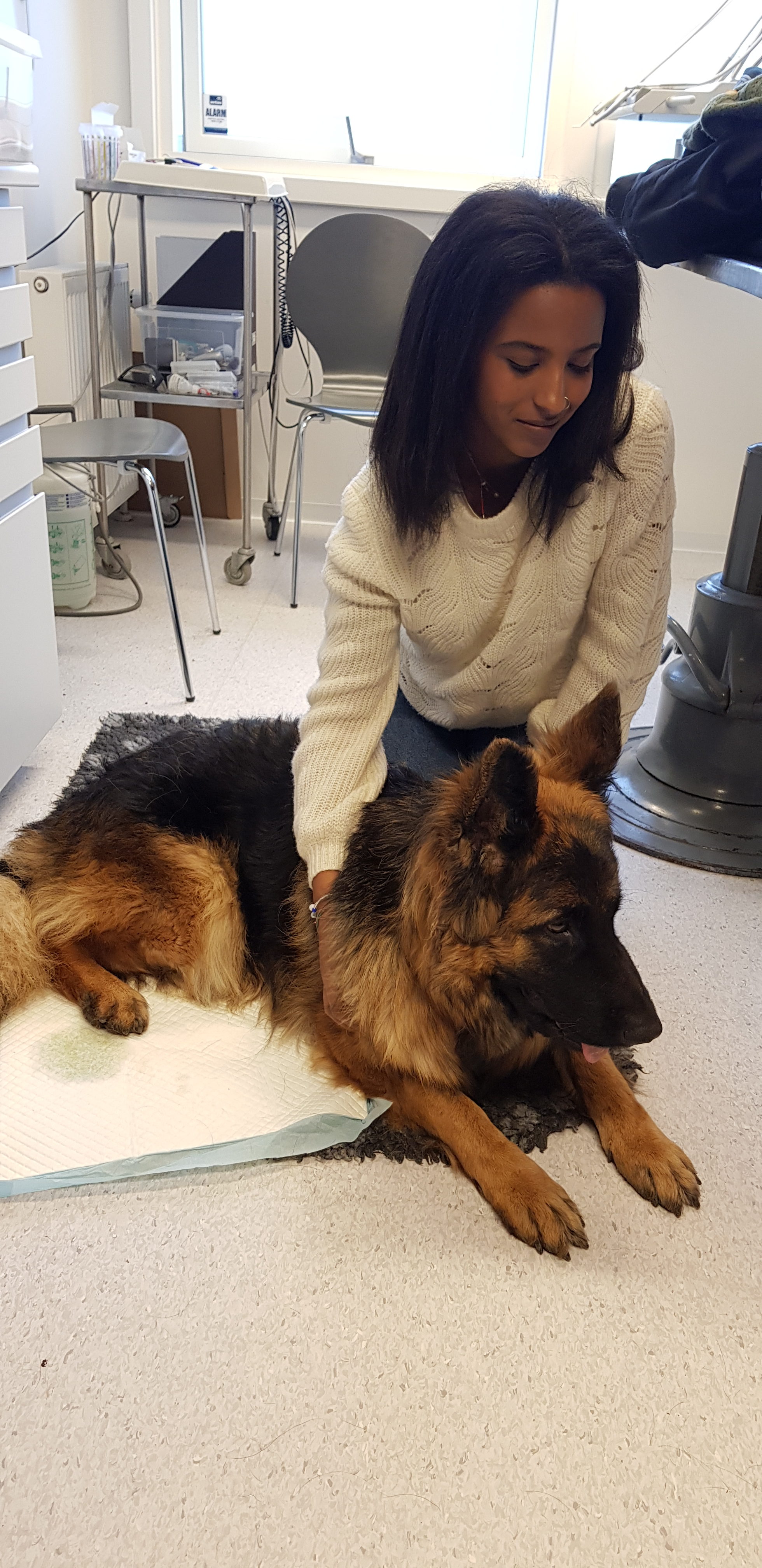 Røntgendag på Køge dyreklinik