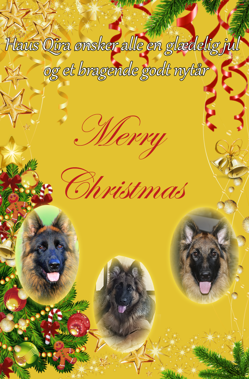 Haus Qira ønsker Jer alle en god jul og et godt nytår