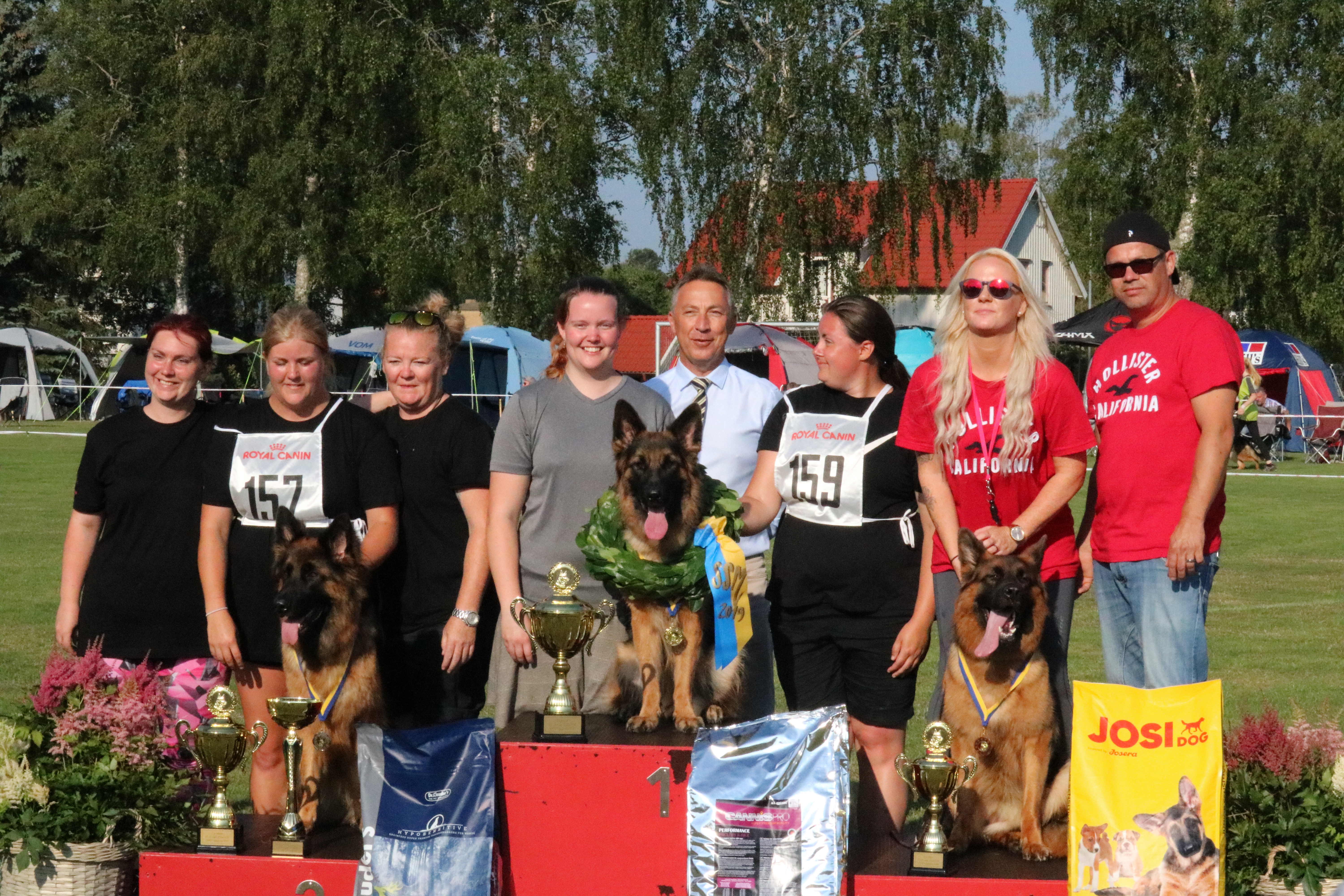 Utah vom Steinburgerhof er blevet siegerin til det Svenske Schæferhunde Mesterskabet SSM
