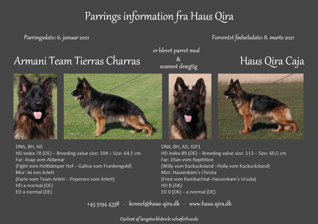 Haus Qira H-kuld er på vej