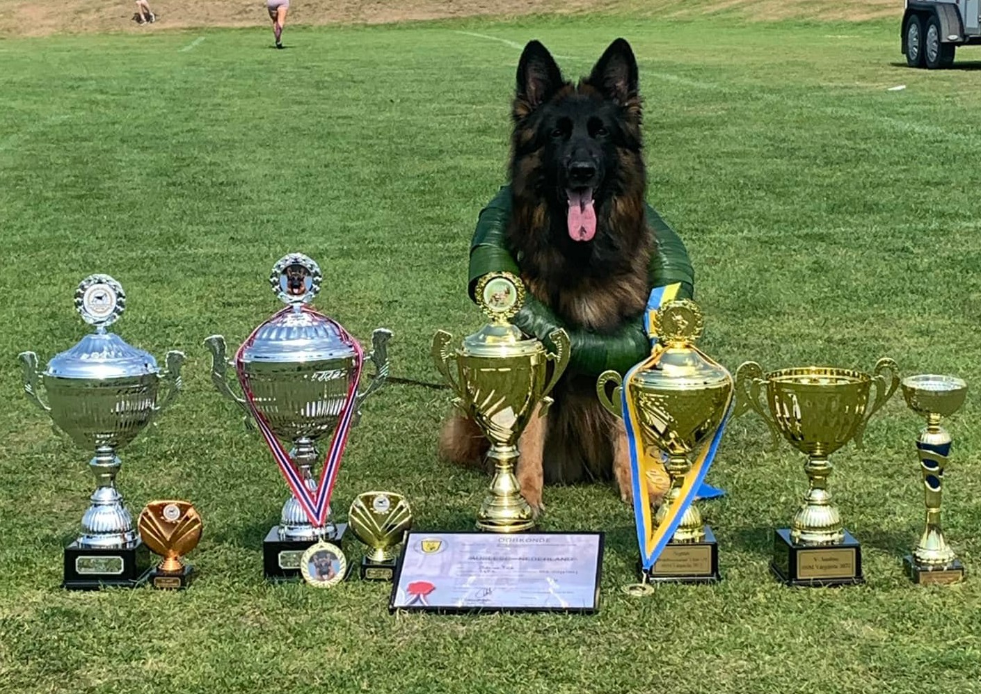 Vores Svenske stjerne Olexius Yvie