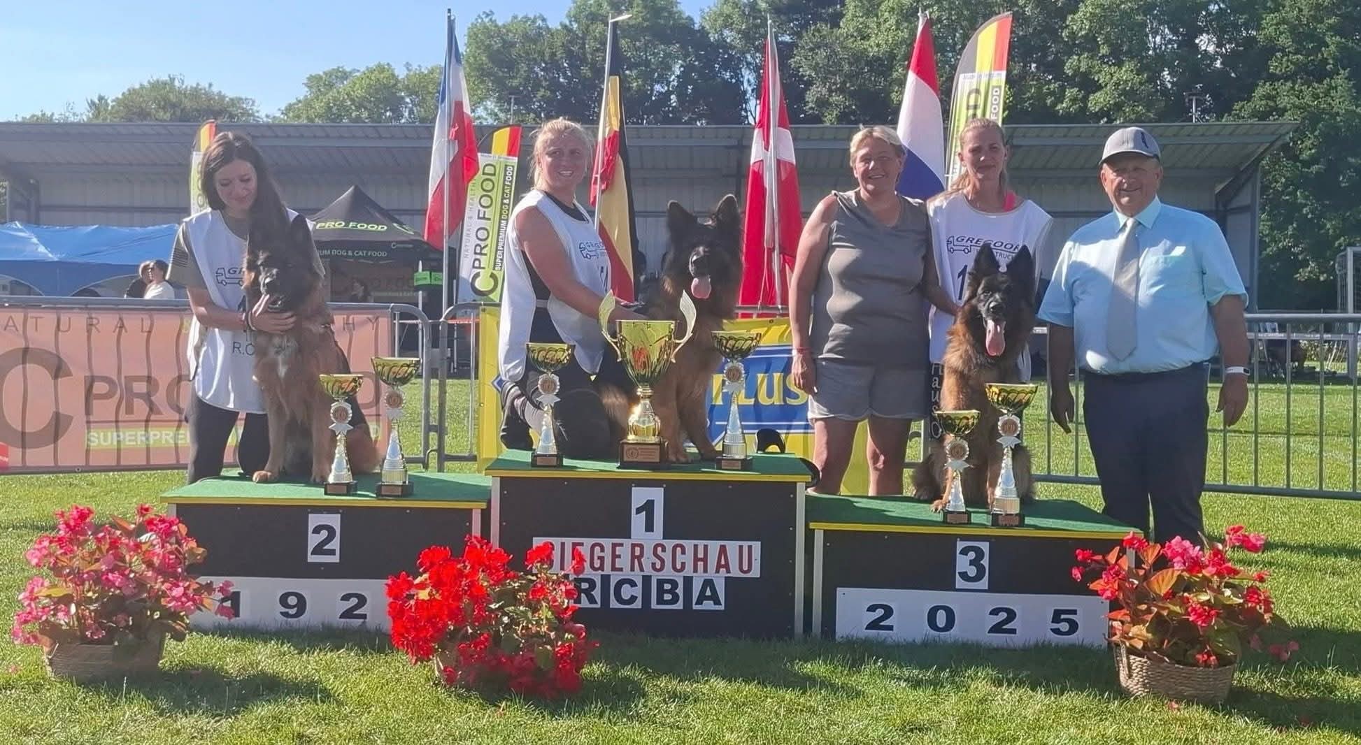 Gemma fik VA på Belgisk sieger schau